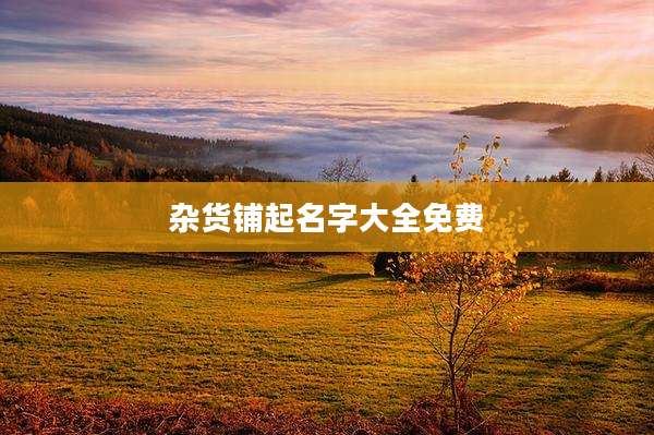 杂货铺起名字大全免费