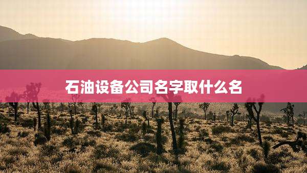 石油设备公司名字取什么名
