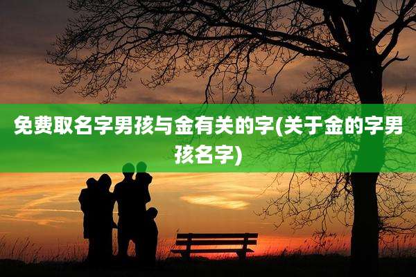 免费取名字男孩与金有关的字(关于金的字男孩名字)