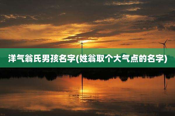 洋气翁氏男孩名字(姓翁取个大气点的名字)