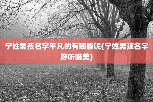 宁姓男孩名字平凡的有哪些呢(宁姓男孩名字好听唯美)