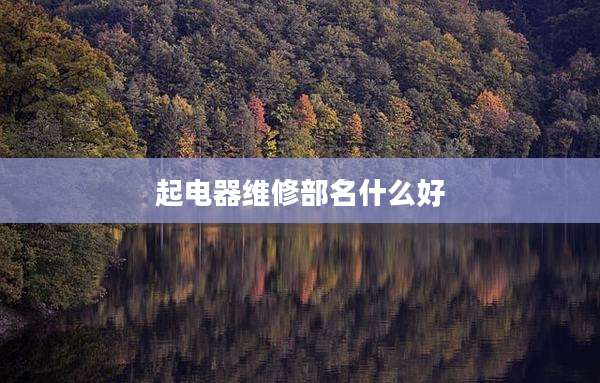 起电器维修部名什么好