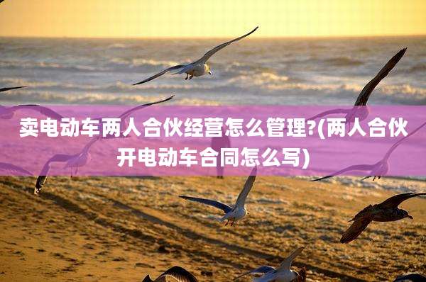 卖电动车两人合伙经营怎么管理?(两人合伙开电动车合同怎么写)