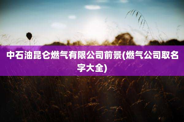 中石油昆仑燃气有限公司前景(燃气公司取名字大全)