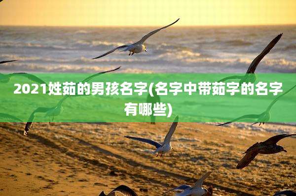 2021姓茹的男孩名字(名字中带茹字的名字有哪些)
