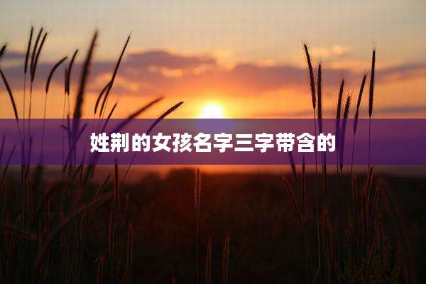 姓荆的女孩名字三字带含的
