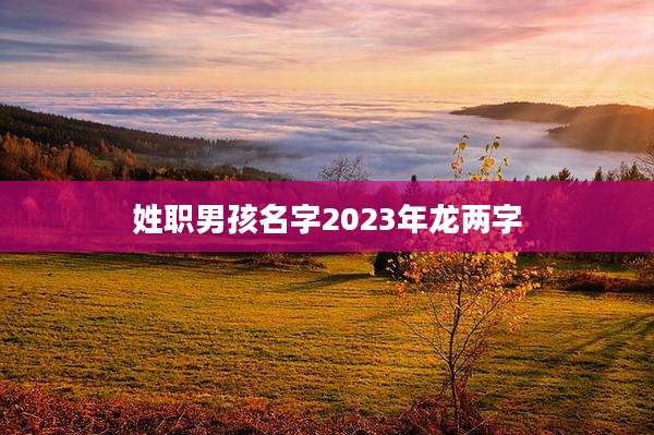 姓职男孩名字2023年龙两字
