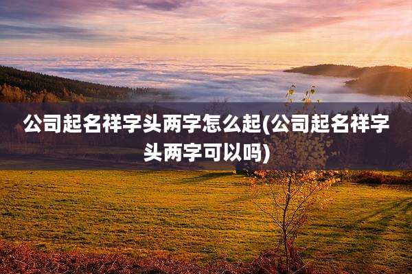 公司起名祥字头两字怎么起(公司起名祥字头两字可以吗)