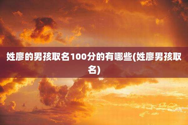 姓廖的男孩取名100分的有哪些(姓廖男孩取名)