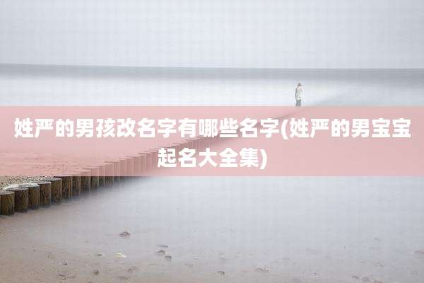 姓严的男孩改名字有哪些名字(姓严的男宝宝起名大全集)