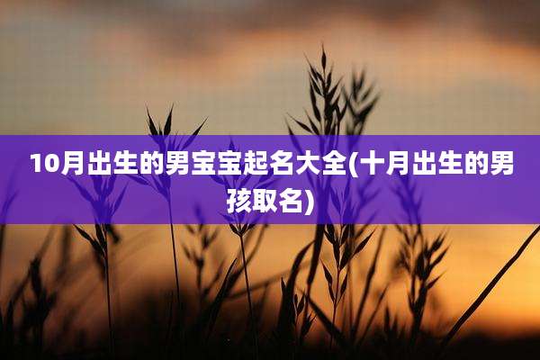 10月出生的男宝宝起名大全(十月出生的男孩取名)