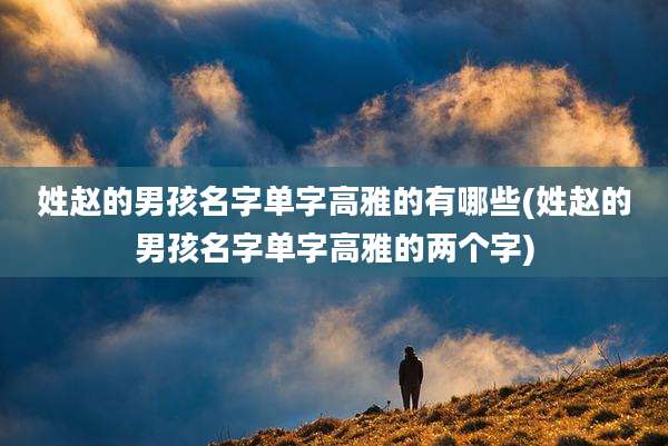 姓赵的男孩名字单字高雅的有哪些(姓赵的男孩名字单字高雅的两个字)