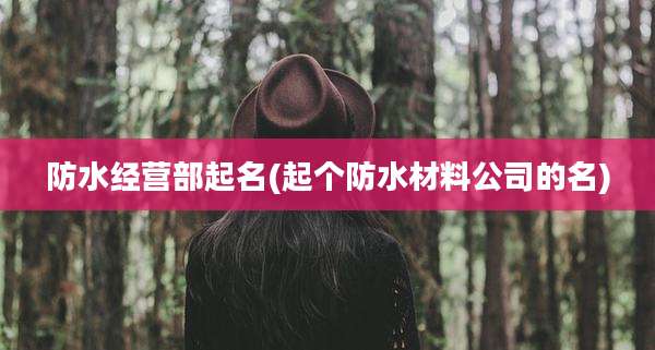 防水经营部起名(起个防水材料公司的名)