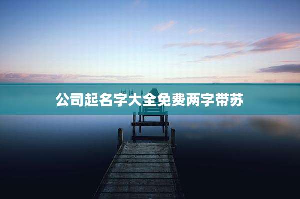 公司起名字大全免费两字带苏