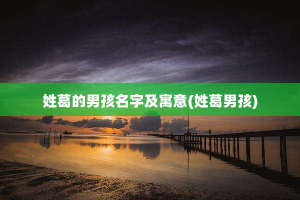 姓葛的男孩名字及寓意(姓葛男孩)