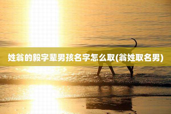 姓翁的毅字辈男孩名字怎么取(翁姓取名男)