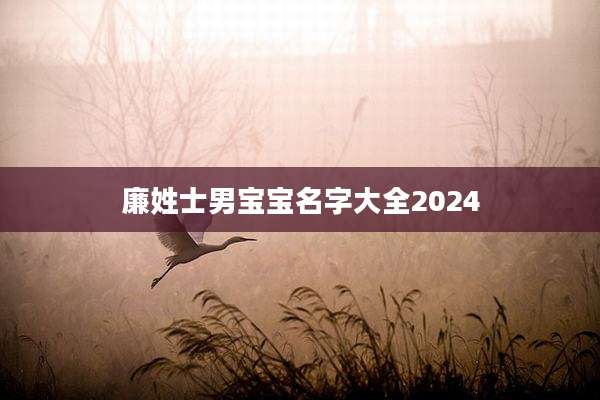 廉姓士男宝宝名字大全2024
