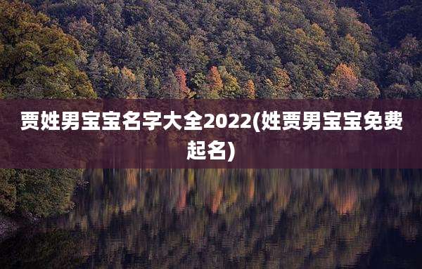 贾姓男宝宝名字大全2022(姓贾男宝宝免费起名)