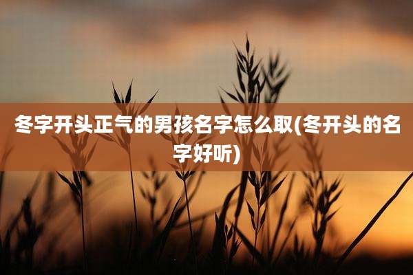 冬字开头正气的男孩名字怎么取(冬开头的名字好听)