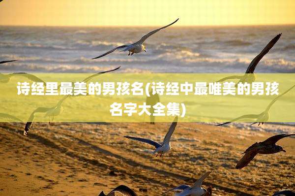 诗经里最美的男孩名(诗经中最唯美的男孩名字大全集)
