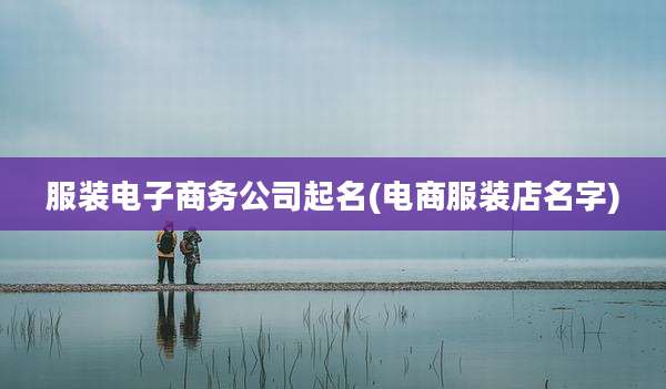 服装电子商务公司起名(电商服装店名字)