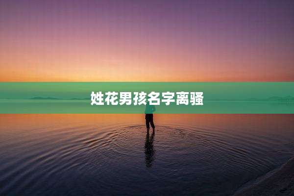 姓花男孩名字离骚
