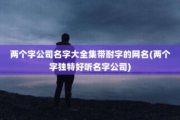 两个字公司名字大全集带耐字的网名(两个字独特好听名字公司)