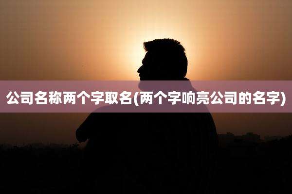 公司名称两个字取名(两个字响亮公司的名字)