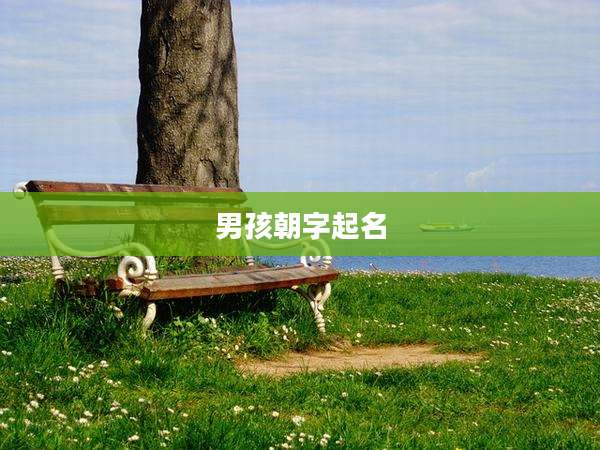 男孩朝字起名