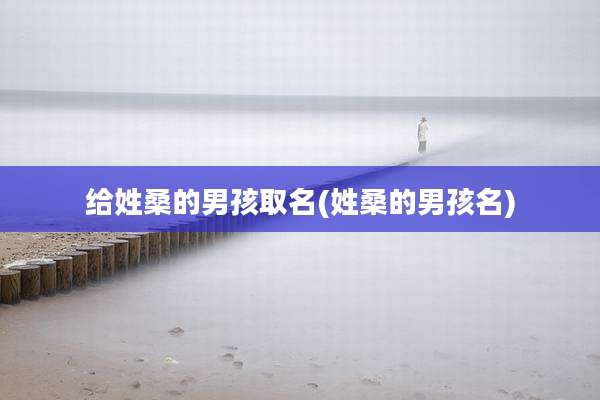 给姓桑的男孩取名(姓桑的男孩名)