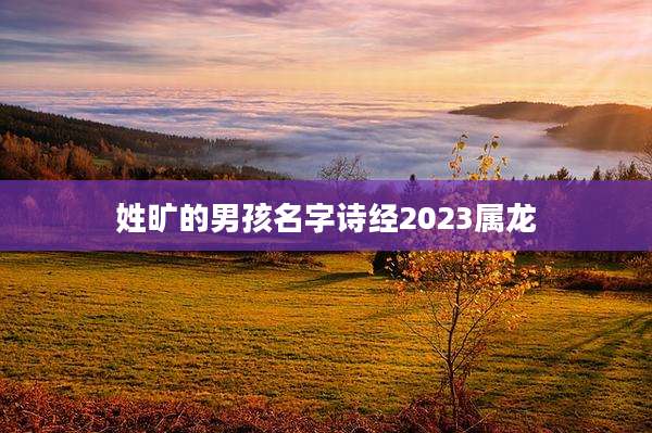 姓旷的男孩名字诗经2023属龙