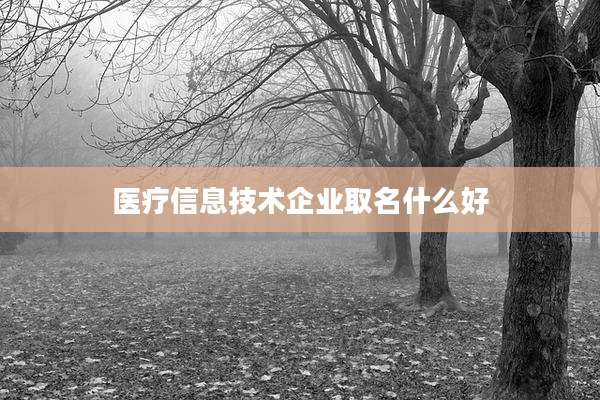 医疗信息技术企业取名什么好