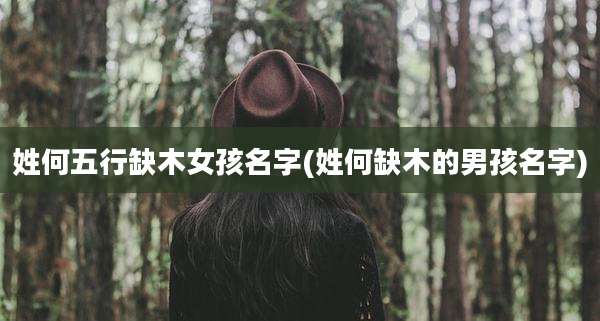 姓何五行缺木女孩名字(姓何缺木的男孩名字)