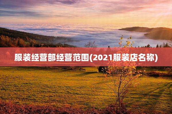服装经营部经营范围(2021服装店名称)