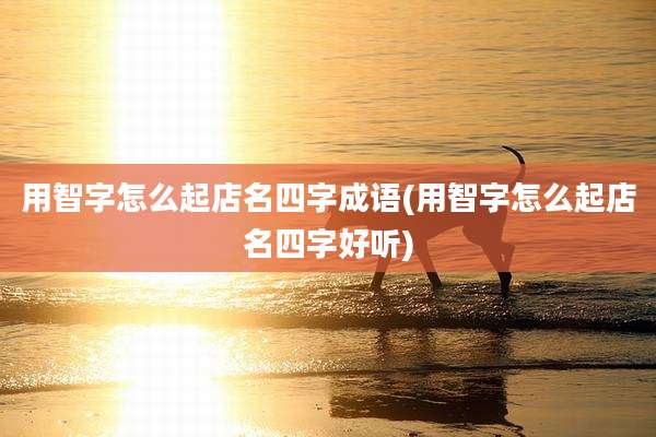 用智字怎么起店名四字成语(用智字怎么起店名四字好听)