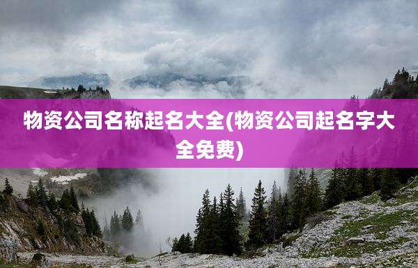 物资公司名称起名大全(物资公司起名字大全免费)