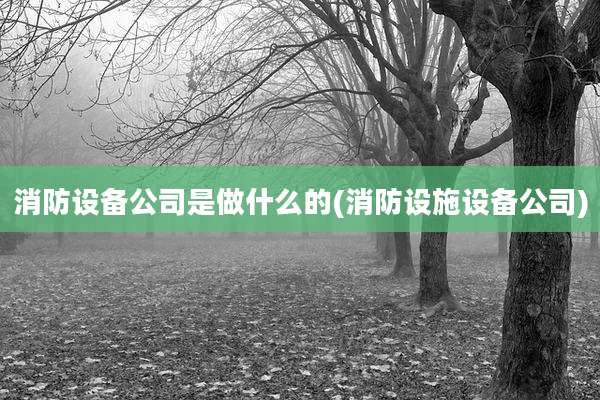 消防设备公司是做什么的(消防设施设备公司)