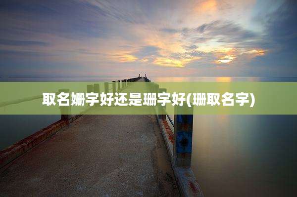 取名姗字好还是珊字好(珊取名字)