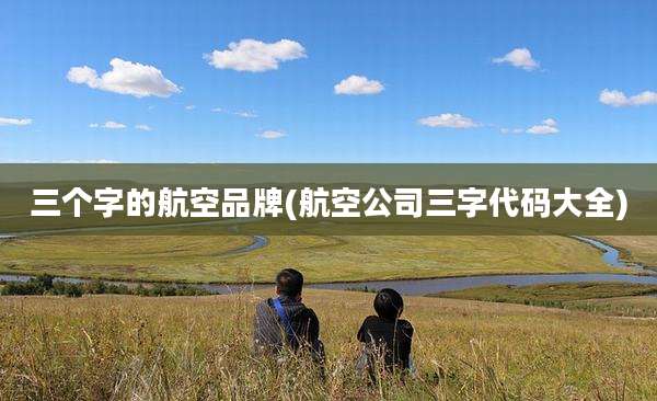 三个字的航空品牌(航空公司三字代码大全)