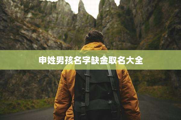 申姓男孩名字缺金取名大全