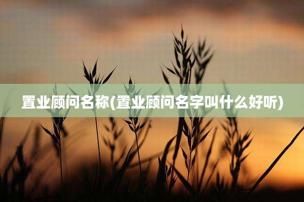 置业顾问名称(置业顾问名字叫什么好听)