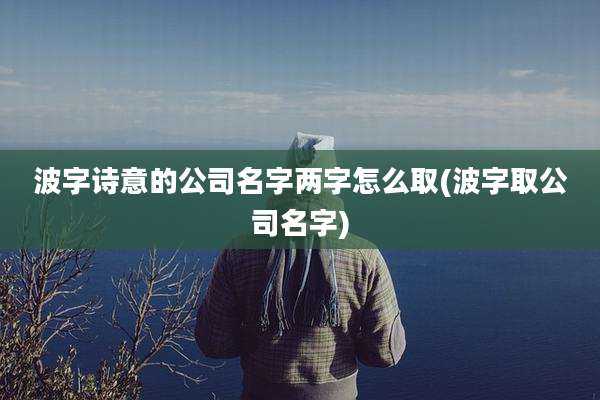 波字诗意的公司名字两字怎么取(波字取公司名字)