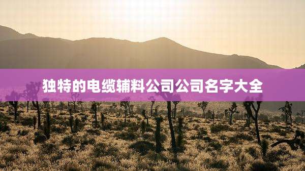 独特的电缆辅料公司公司名字大全