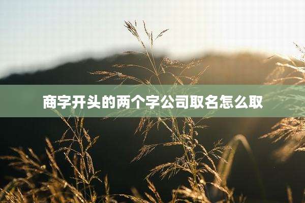 商字开头的两个字公司取名怎么取