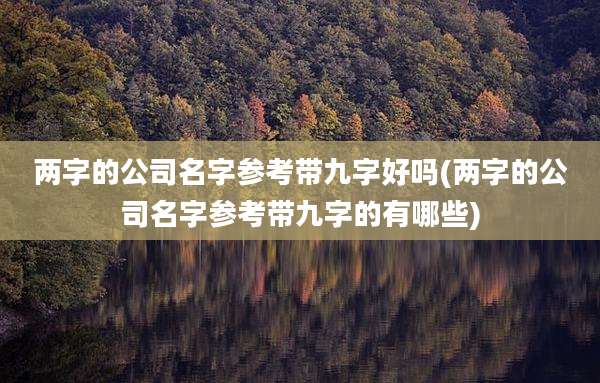 两字的公司名字参考带九字好吗(两字的公司名字参考带九字的有哪些)
