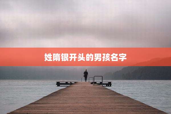姓隋银开头的男孩名字