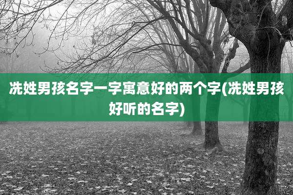 冼姓男孩名字一字寓意好的两个字(冼姓男孩好听的名字)