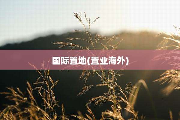 国际置地(置业海外)