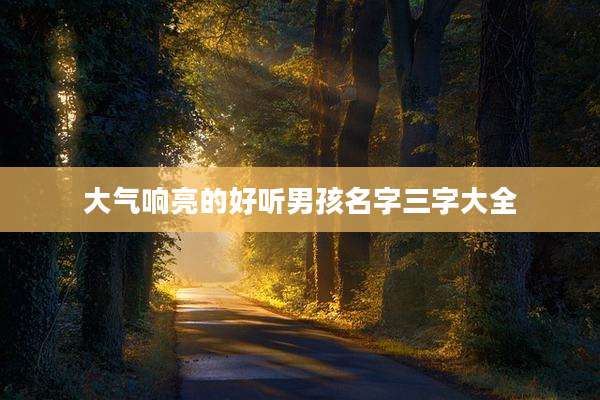 大气响亮的好听男孩名字三字大全