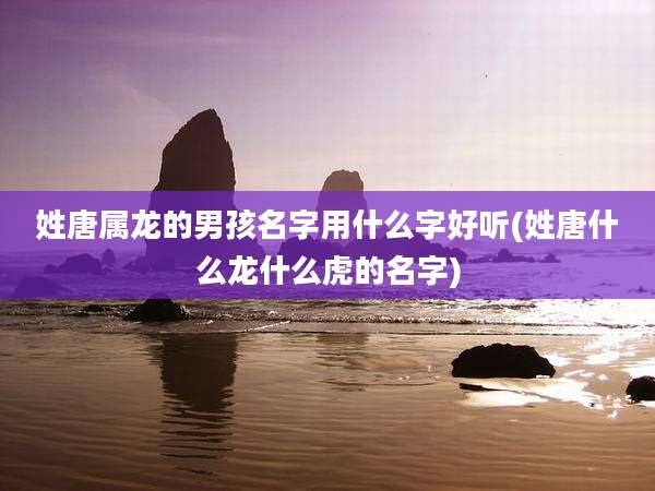 姓唐属龙的男孩名字用什么字好听(姓唐什么龙什么虎的名字)